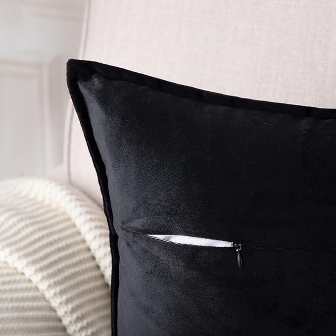 MADIZZ Set of 2 Super Soft Velvet Decorative Throw Pillow Covers 22x22 inch Black Square with Fringe Luxury Style Cushion Case Pillow Shell for Sofa Bedroom