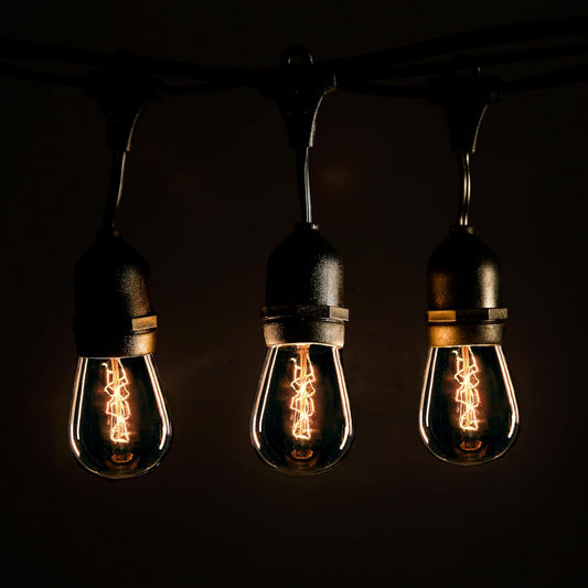 Hometown Evolution, Inc. E26 Outdoor Commercial String Lights with Suspended Socket for Weatherproof Heavy Duty Vintage Outside Lighting (S14 Zig Zag Edison 11 Watt Bulbs, 100 Foot 50 Socket)