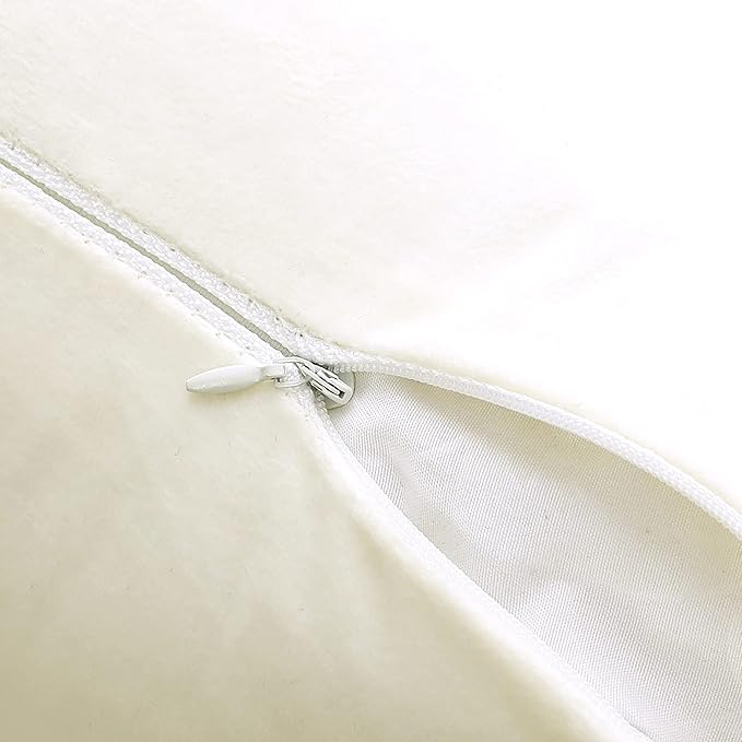NiNi ALL Decorative Throw Pillow Covers Velvet Soft for Couch Sofa Bedroom Living Roomg Outdoor Pack of 2 20x20 Inch Cream White