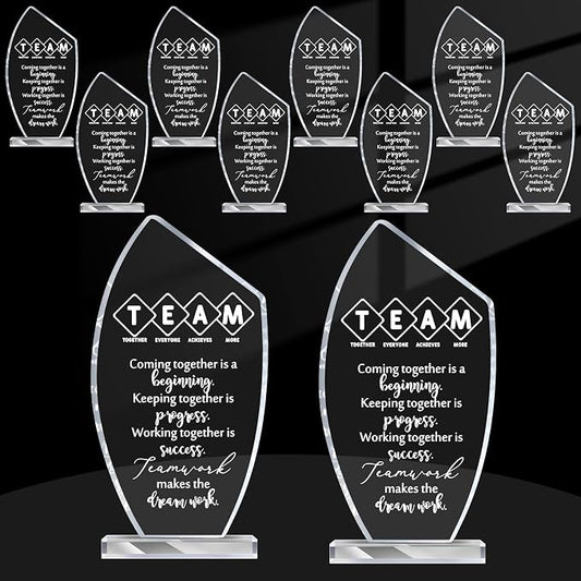 10 Pcs Employee Appreciation Gift Awards for Coworker Acrylic Social Worker Trophy May You Be Proud of The Work You Do Sign Prizes Gift for Volunteer Teacher Nurse Secretary Admin Assistant(Team)