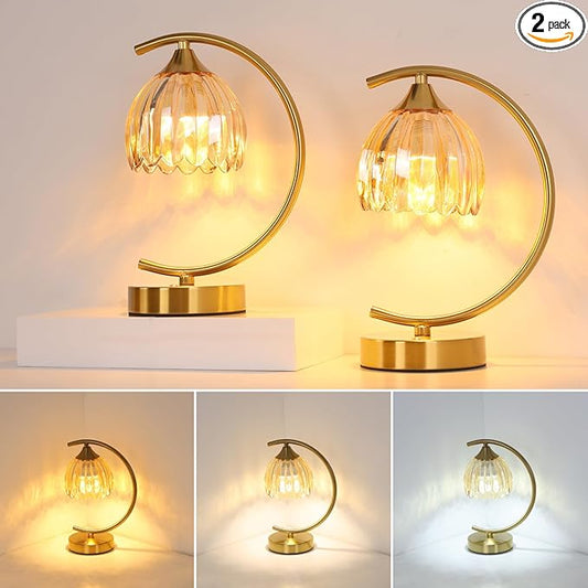 Shenmoyl Set of 2 Tulip Table Lamp, 5200mAh Cordless Touch Control Table Lamp with 3 Color Temps & Stepless Dimming, Rechargeable Battery Table Lamp for Living Room, Bedroom, Shelf (Amber Tulip)