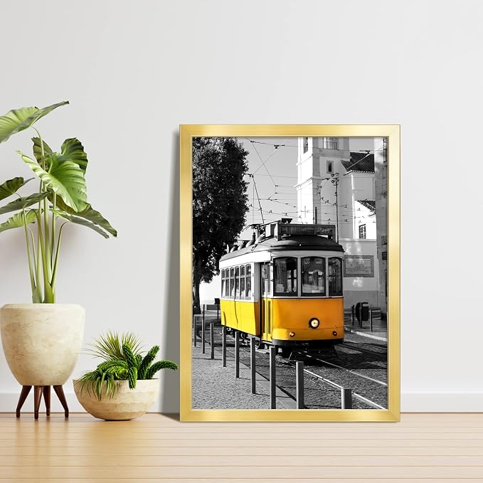 LaVie Home 20 x 27 Picture Frame, Large Poster Frame with High Definition Plexiglass, Horizontal or Vertical Wall Gallery Poster Frames Suitable for Photos, Artworks, Posters,Puzzle, Gold 1pc