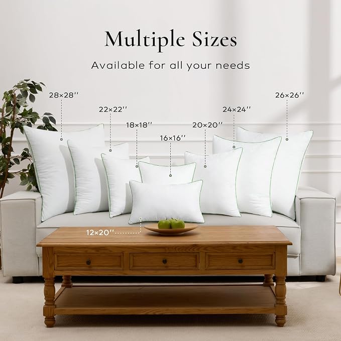 Ashler Home Deco 18x18 Pillows Insert (Set of 4) - Throw Pillow Inserts with 100% Cotton Cover - 18 Inch Square Interior Sofa Stuffer Pillow Inserts -Decorative White Couch Pillow