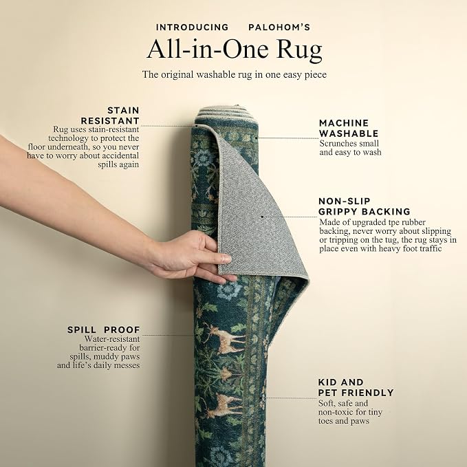 2x3 Washable Rugs for Entryway Indoor: Small Area Rug Door Mat Entrance Non-Slip Low Pile Soft Throw Rug for Kitchen Front Door Indoor Entrance Bedside Entry Kids Room