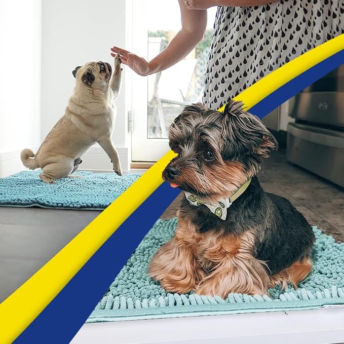 Muddy Mat® | Super Water Absorbent Door Mat Indoor, Microfiber Quick Dry Chenille Entryway Rug, Slip Resistant Front Door Mat, Indoor Mats for Entryway, Machine Washable Pet Rug, Sea Green 28" x 48"