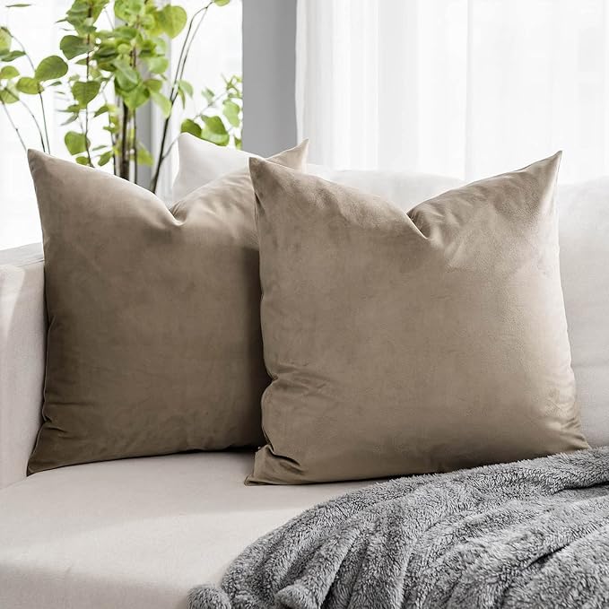 Stone Decorative Lumbar Velvet Throw Pillow Covers 24x24 inch Set of 2 with Zipper Luxury Soft Solid Square Cushion Covers Case for Sofa Couch Bed Living Room