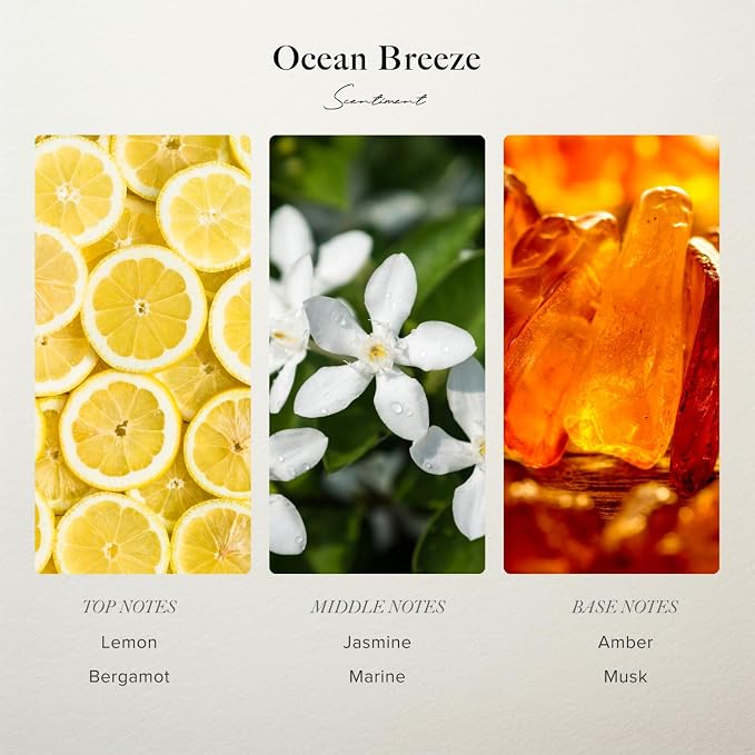 Scentiment Ocean Breeze Diffuser Oil - Premium Hotel Scent with Notes of Bergamot, Lemon, Jasmine with Marine & Amber Home Scent, Hotel Fragrance Oil Diffuser Refill - 4.06 fl oz (120 mL)