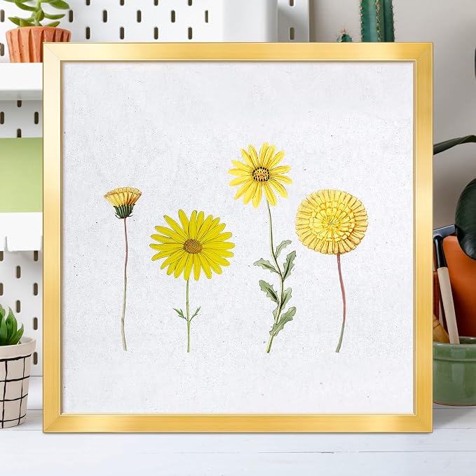 LaVie Home 24 x 24 Picture Frame, Square Poster Frame with High Definition Plexiglass, Horizontal or Vertical Wall Gallery Poster Frames Suitable for Photos, Artworks, Posters,Puzzle, Gold 1pc