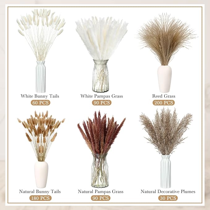 Treela 650 Pcs Dried Pampas Grass Decor Bulk 17" Dried Bunny Tail Fluffy Pompous Pampas Natural Reed Grass Bouquet Wedding Boho Dried Flowers for Home Table Party Decor(Classic)