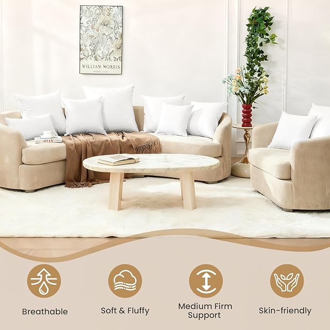 BHZ Euro Throw Pillow Inserts, 16x16 Down Feather Alternative Pillow Inserts Set of 2, Decorative Soft Large Square White Throw Pillows Insert for Couch Bed Dorm Sofa with Breathable Cover