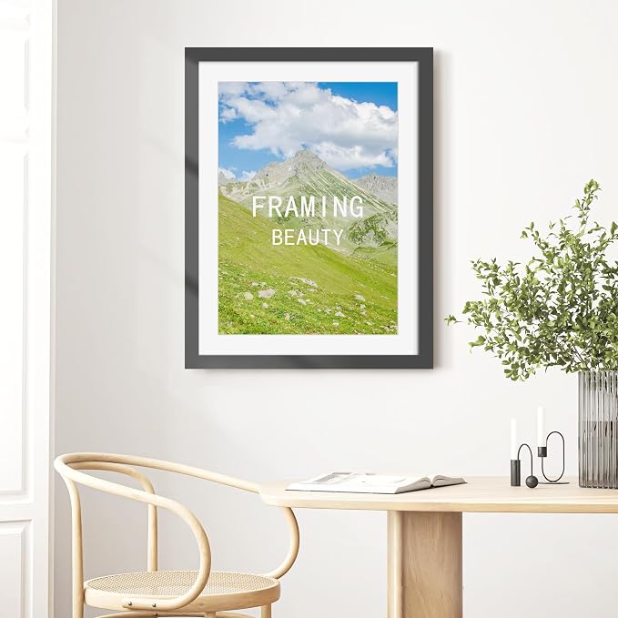 Picrit 24x32 Picture Frame 3 Pack, Black Poster Frame, Display Poster 20 x 28 with Mat or 24 x 32 without Mat for Horizontal or Vertical Wall Mounting