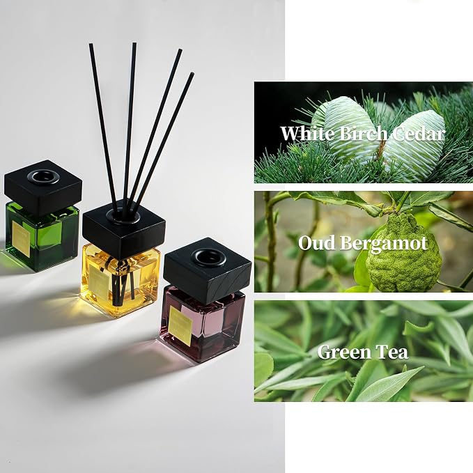 Reed Diffuser Set of 3, 50ml | White Birch Cedar & Oud Bergamot & Green Tea Tree Essential Oil, 15 Diffuser Sticks, Hotel Collection Bathroom Air Fresheners