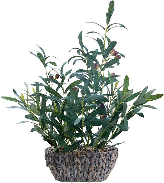 AlphaAcc Olive Fake Plants 21'' Tall Artificial Olive Branches with Lifelike Leaves in Oval Rattan Woven Planter Faux Plants Rustic Tabletop Greenery for Living Room Kitchen Bedroom Office Decor