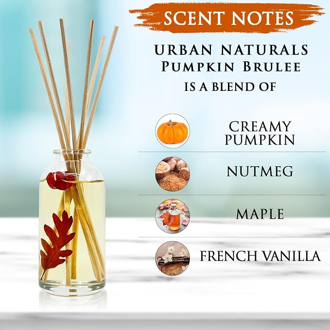 Urban Naturals Reed Diffuser Set, Pumpkin Brulee - Bathroom Shelf Décor | Scented Sticks, Fall & Winter Home Scent, Creamy Pumpkin Pie, Nutmeg & French Vanilla, Beautiful Autumn Home Decor