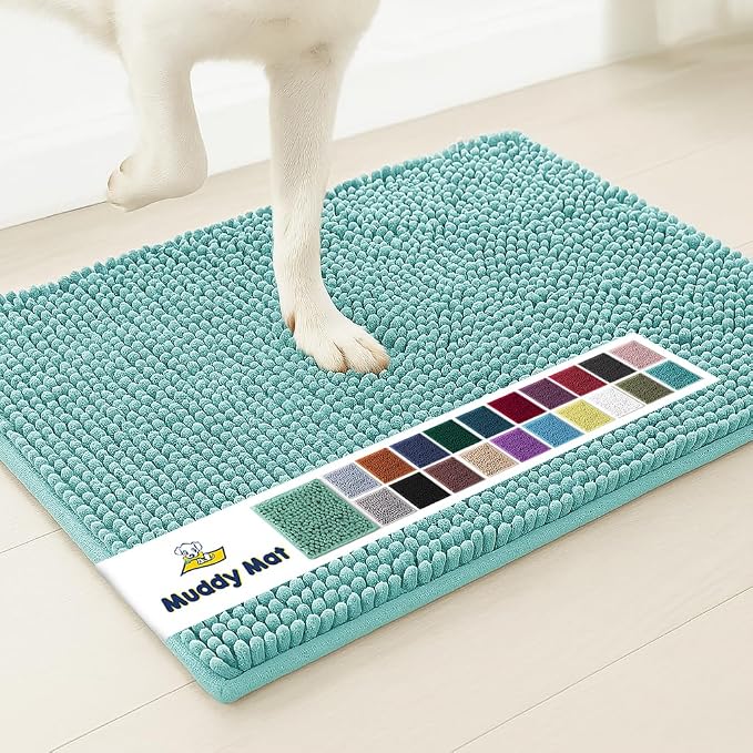 Muddy Mat® | Super Water Absorbent Door Mat Indoor, Microfiber Quick Dry Chenille Entryway Rug,Slip Resistant Front Door Mat,Indoor Mats for Entryway,Machine Washable Pet Rug, Seafoam Green 48"x72"