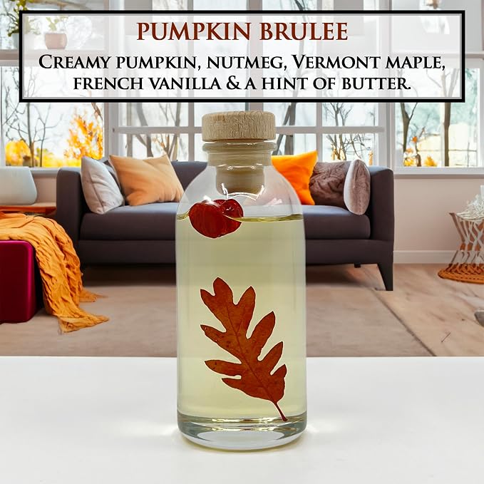 Urban Naturals Reed Diffuser Set, Pumpkin Brulee - Bathroom Shelf Décor | Scented Sticks, Fall & Winter Home Scent, Creamy Pumpkin Pie, Nutmeg & French Vanilla, Beautiful Autumn Home Decor