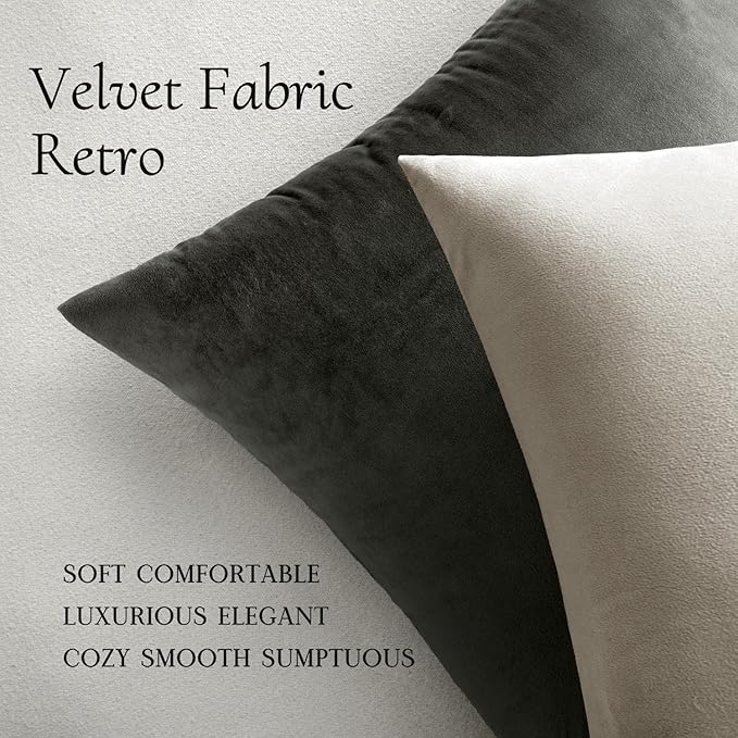 MIULEE Velvet Throw Pillow Covers 16x16 Inch, Pack of 2 - Cream White, Soft Solid Decorative Pillow Covers Cushion Cases Modern Luxury Home Decor for Spring Couch Sofa Bedroom Livingroom