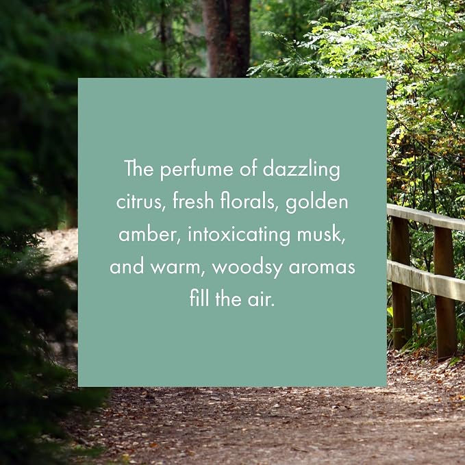 ScentAir Whisper Essential Monthly Plug-in Refill, A Walk in the Woods | Fragrance Diffuser Cartridge Refill for Home and Office