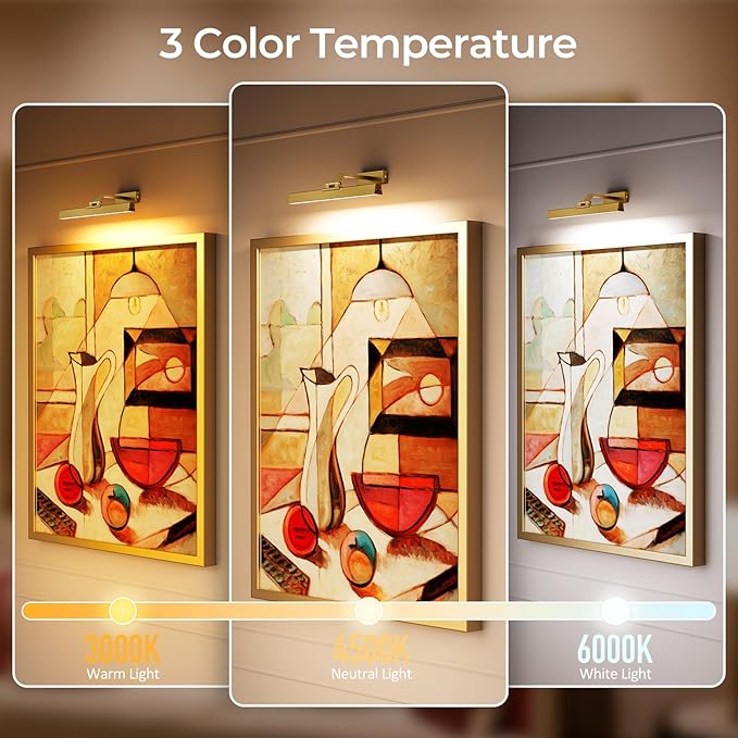 Afyuol Picture Lights for Wall, Brass Battery Operated Picture Light 16in Art Light CCT Dimmable Recharging Battery Wall Light with Remote Control for Living Room Gallery