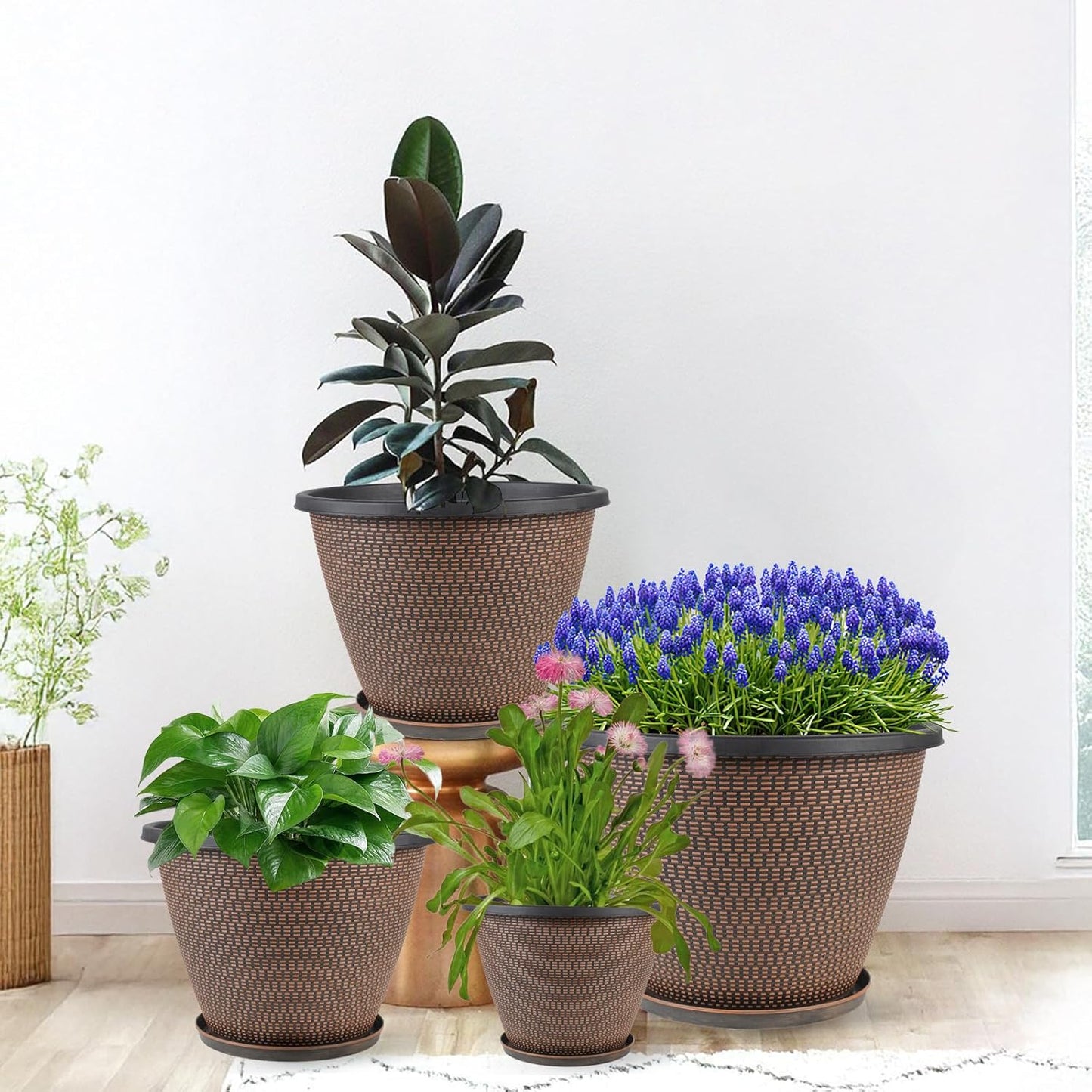 4 Pack 8 inch Plant Pot, Plastic Pots for Plants Indoor, Round Planters for Outdoor Plants with Drainage Holes & Trays, Decorative Flower Pots Garden Containers Sets for Houseplants (Black Copper)