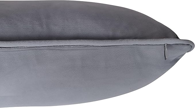 A1HC Set of 2 Luxurious Fine Soft Velvet Throw Pillow Covers Only, for Sofas, Beds, Vibrant Colors and Hidden Zipper. Enhance Your Living Space with Decorative Couch Pillow 12"x20", Dark Grey