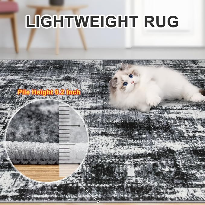 Area Rugs Living Room Rug - 5x7 Washable Modern Abstract Soft Neutral Non-Slip Carpet Large Indoor Floor Thin Carpets for Bedroom Dining Room Farmhouse Nursery Home Office Black