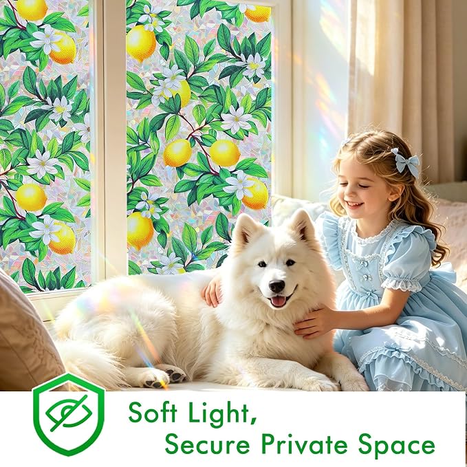 SOMWISE Rainbow Window Privacy Film,Heat Control,UV Blocking,Anti-Glare,Day & Night Privacy Protection & Decoration for Home, Bathroom,Glass Door,Static Cling,Renter-Friendly with Installation Tools