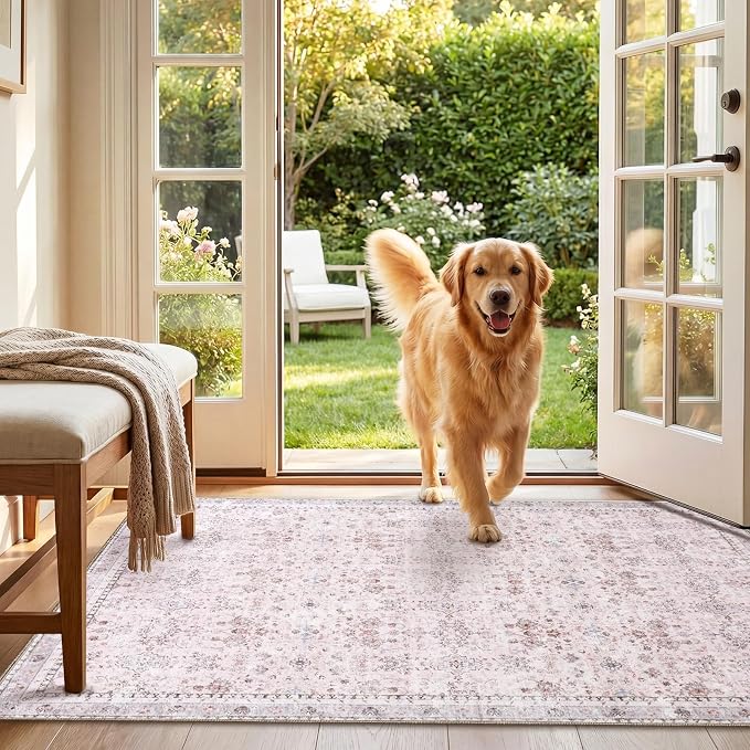 Sasttie 3x5 Rug, Ultra-Soft Washable Rug, Low Pile Foldable Thin Carpets with Non-Slip Backing, Skin-Friendly Stain Resistant Carpet for Living Room, Bedroom, Kitchen, Dorm, 3x5, Pink