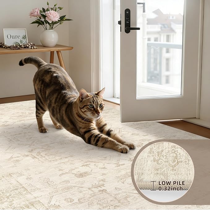 3x5 Area Rugs for Living Room: Vintage Boho Neutral Washable Rug Indoor Soft Large Area Rug Carpet for Bedroom Nursery Farmhouse Dining Room Office Floor Non-Slip Low Pile Under Table Rug Beige/Brown