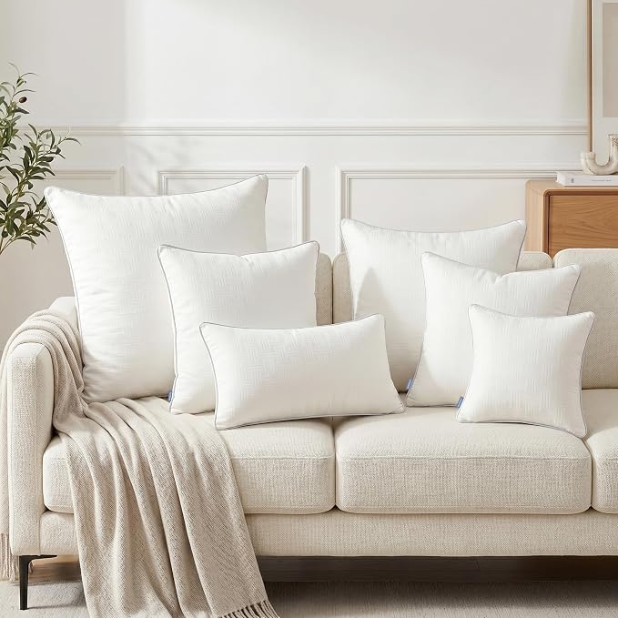 Leeden 24x24 Pillow Inserts Set of 2 - Decorative 24 Inch Throw Pillow Insert, Soft Fluffy Square Throw Pillows for Couch Bed, Beige Couch Pillow Insert Pair