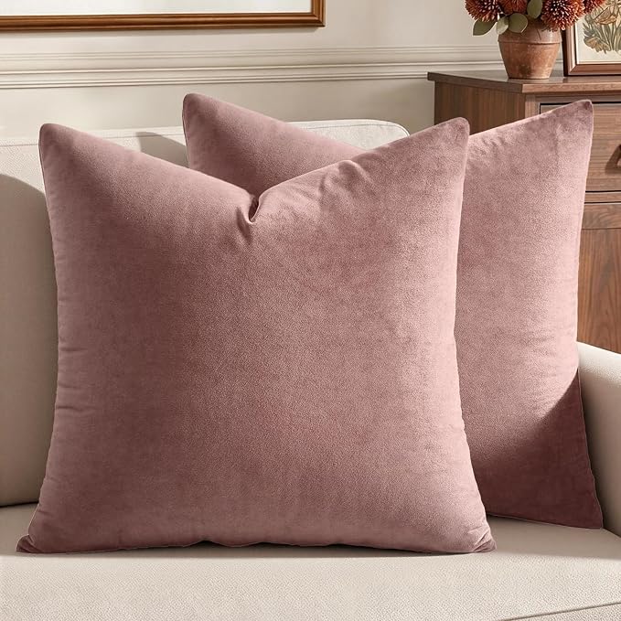 MIULEE Velvet Throw Pillow Covers 18x18 Inch, Pack of 2 - Jam, Soft Solid Decorative Pillow Covers Cushion Cases Modern Luxury Home Decor for Spring Couch Sofa Bedroom Livingroom