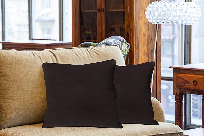 A1HC Set of 2 Luxurious Fine Soft Velvet Throw Pillow Covers Only, for Sofas, Beds, Vibrant Colors and Hidden Zipper. Enhance Your Living Space with Decorative Couch Pillow 24"x24", Graphite