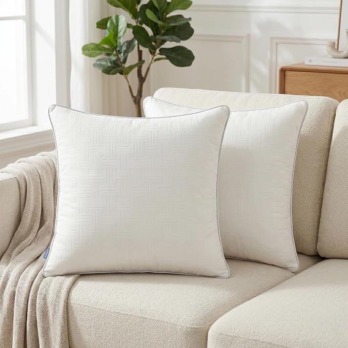 Leeden 18x18 Pillow Inserts Set of 2, Soft and Fluffy Throw Pillow Forms for Couch and Bed, 18 Inch Square Decorative Pillow Inserts, Beige