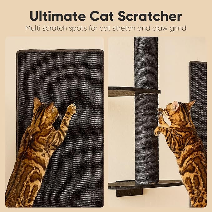 FUKUMARU Cat Wall Shelves, 4 in 1 Stable Wooden Wall-Mounted Furniture Set, Climbing Tree with Hammock, Bed, Perch and Scratching Mat (Black)