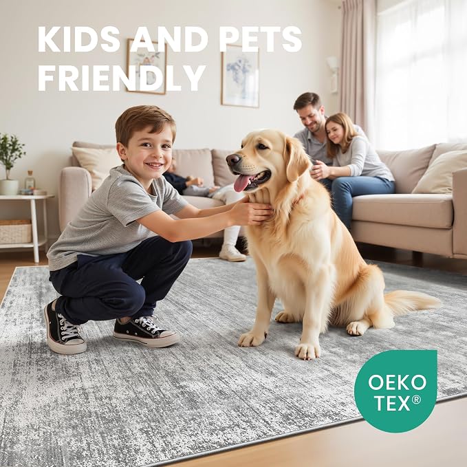zesthome 3x5 Area Rugs, Modern Washable Rug, Non-Slip Rugs for Living Room, Stain Resistant Abstract Rugs, Ultra-Thin Indoor Area Rug 3x5, Home Decor Grey Rug