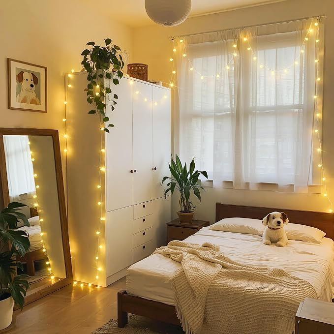 JMEXSUSS Globe String Lights Indoor Color Changing Christmas Lights Plug in | Warm White & Multicolor String Lights with Remote for Bedroom Room Tree Party Christmas Decor