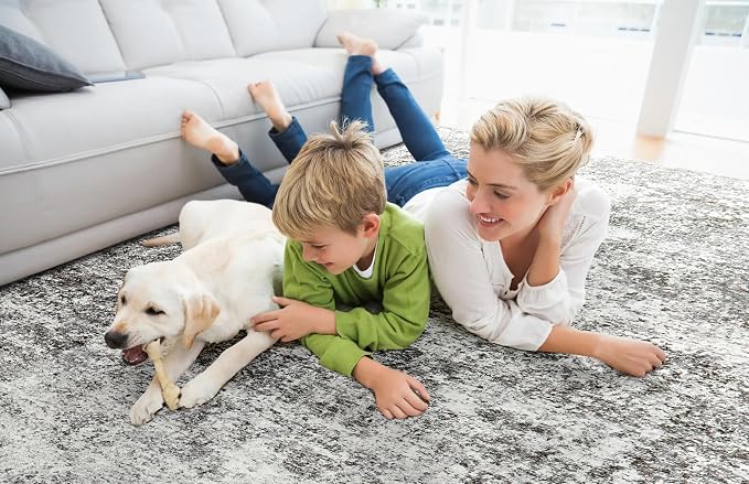 LOVORAL Area Rugs for Living Room: 6x9 Washable Neutral Abstract Rug for Bedroom Large Soft Modern Dining Room Rugs Indoor Floor Low Pile Carpet for Home Office Nursery - Grey