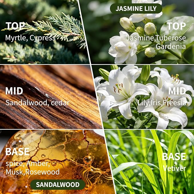 Reed Diffuser Set of 2, 4 fl oz Earthy Sandalwood & Jasmine Lily Scent Diffuser with 20 Sticks, 180 Days Long Lasting Elegant Home Fragrance for Bathroom Bedroom Decor Air Fresh