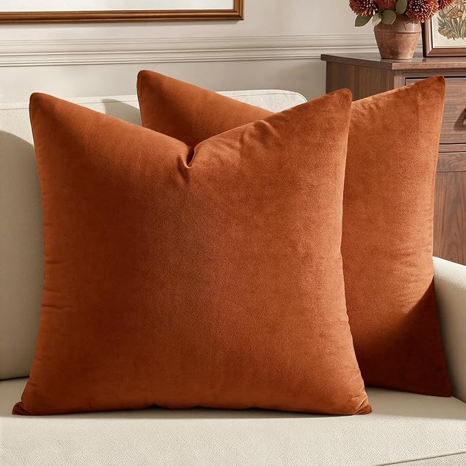 MIULEE Pack of 2 Rust Pillow Covers 20x20 Inch Fall Decorative Velvet Throw Pillow Covers Modern Soft Couch Throw Pillows Farmhouse Home Decor for Sofa Bedroom Living Room