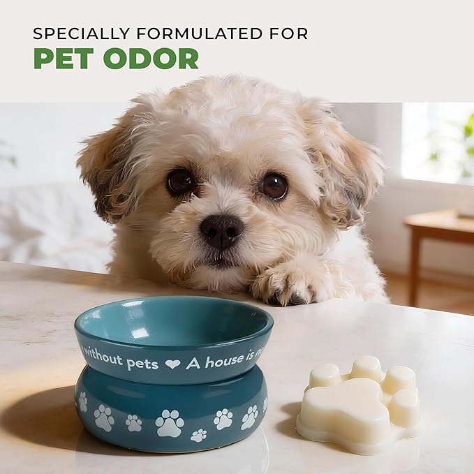 Pet House Fresh Citrus Wax Melts - Long-Lasting Scented Wax Melts Plant Based, Pet Friendly Pack of 4