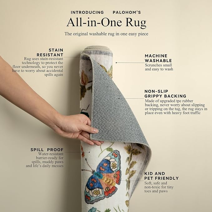 2x3 Washable Throw Rugs for Entryway: Door Mat Indoor Entrance Small Rug Non-Slip Low Pile Soft Kitchen Rug for Front Door Indoor Entrance Entry Bedside Kids Room
