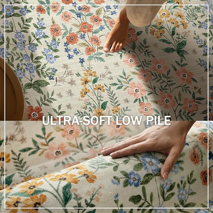 Machine Washable Area Rugs for Entryway: Door Mat Indoor Entrance 2x3 Small Throw Rug Non-Slip Low Pile Kitchen Rug for Front Door Indoor Entrance Entry Bedside Living Room
