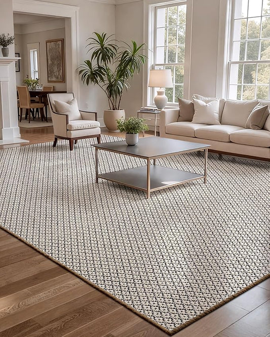 LUMI 4x6 Sisal Area Rug for Living Room, Natural Handwoven Rugs Non Slip, Farmhouse Braided Carpets No Shedding for High Traffic, Dining Room, Indoor, Outdoor, Patio