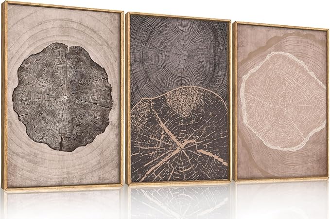 HOURIA Neutral Brown Tree Rings Framed Canvas Wall Art Set,Vintage Abstract Dark Gray Wood Stump Wall Decor,Modern Minimalist Wood Grain Slice Artwork for Living Room,Bedroom,Farmhouse- 24"x36"x3