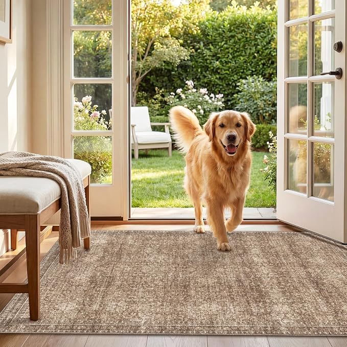 Sasttie 3x5 Rug, Ultra-Soft Washable Rug, Low Pile Foldable Thin Carpets with Non-Slip Backing, Skin-Friendly Stain Resistant Carpet for Living Room, Bedroom, Kitchen, Dorm, 3x5, Dark Brown