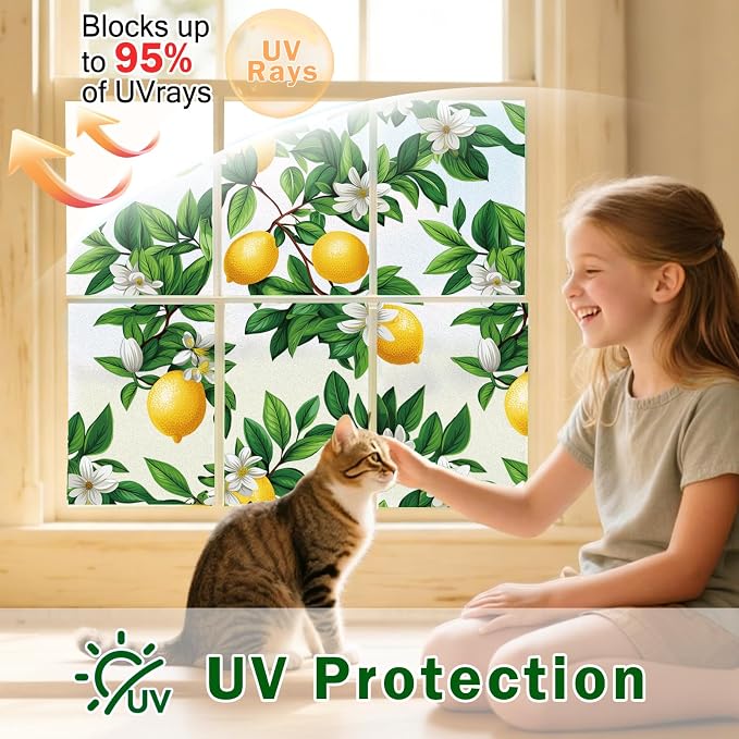 Window Film, Frosted Privacy, One Way Tint, UV Block, Heat Insulation, Anti-Glare, Static Cling, Renter Friendly for Home Bathroom Door