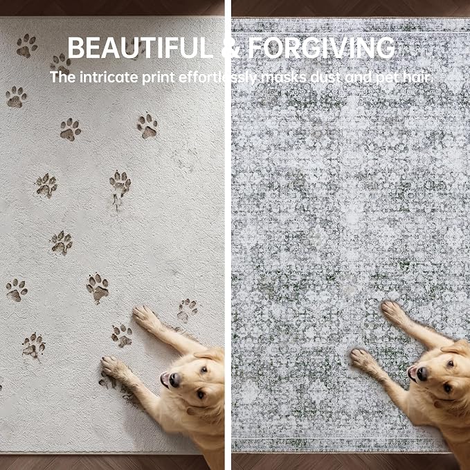 Sasttie 3x5 Rug, Ultra-Soft Washable Rug, Low Pile Foldable Thin Carpets with Non-Slip Backing, Skin-Friendly Stain Resistant Carpet for Living Room, Bedroom, Kitchen, Dorm, 3x5, Light Grey