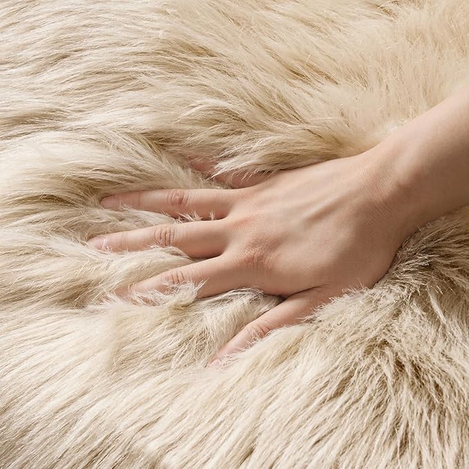 MIULEE Fluffy Rug Soft Shaggy Faux Fur Area Rug Luxury Plush Sheepskin Carpet for Bedroom Living Room Sofa Chair 2 x 3 Feet, Beige