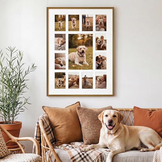 12x16 School Picture Frame K-12, Collage Frame for School Years, Bronze | Warm Bronze K-12 Frame with 13 Openings: One 5x7 & Twelve 2.5x3.5 for Pre-K to 12th Grade | Wall Kit Included