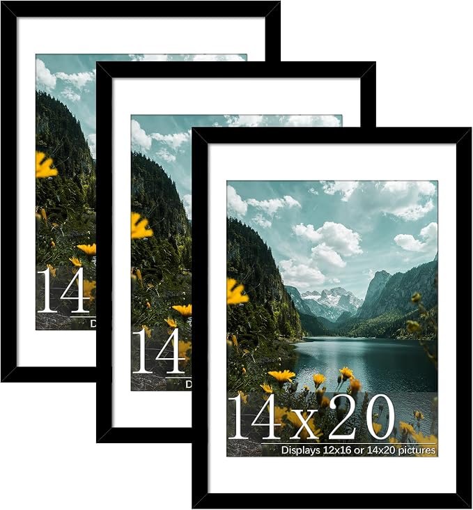 Picrit 14x20 Picture Frame 3 Pack, Black Poster Frame, Display Poster 12 x 16 with Mat or 14 x 20 without Mat for Horizontal or Vertical Wall Mounting